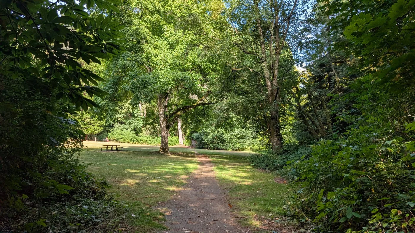 A view of Redwood Park from M&Em Photography’s fall session story